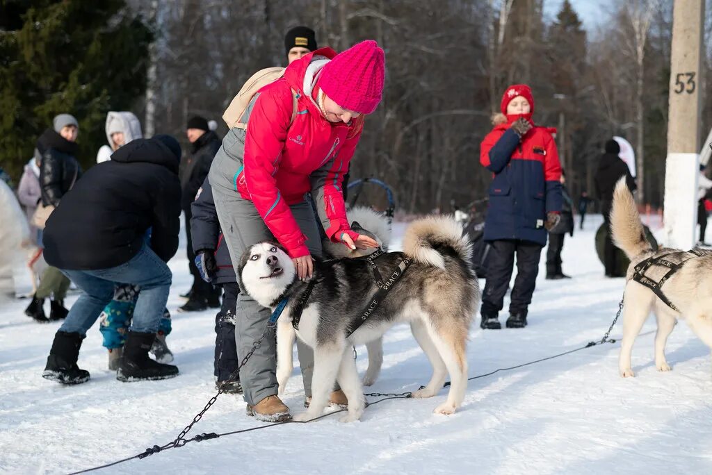 Федерация ездового спорта