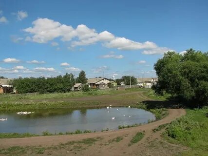 Погода на завтра бондари тамбовской