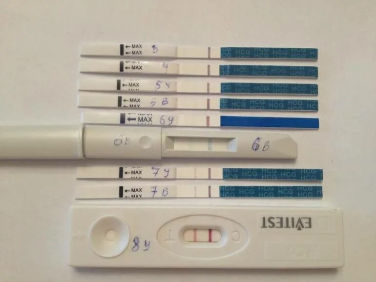 Наступила беременность после эко. Тест на беременность на 8 день после подсадки эмбриона. Тест на беременность 8 день после переноса эмбриона. Тест на беременность 8 ДПП пятидневок. Тест на беременность на 8 ДПП трехдневок.