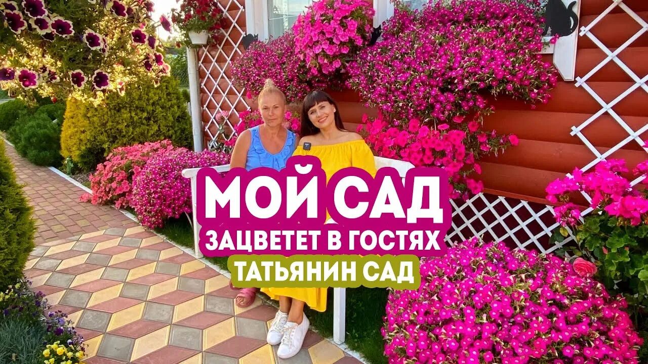 Мой сад мой мир. Читать сад моей мечты. Мой сад мой мир. Сад в июле. Мой сад мой мир.