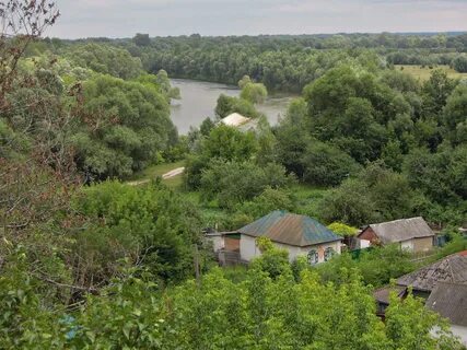 Погода в сейме