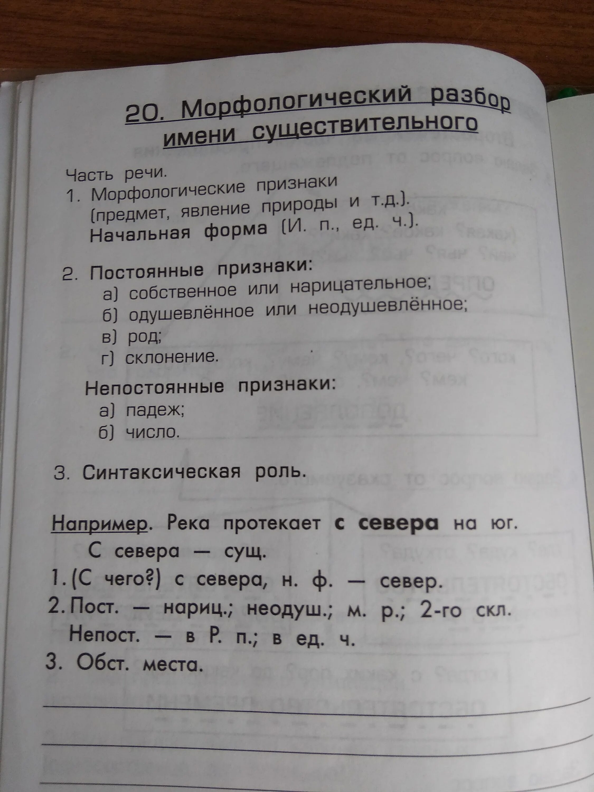 Морфологический разбор существительного птицы. Морфологический разбор существительного. Морфологический разбор слова птицы. Морфологический разбор птица. Морфологический разбор всех частей речи.