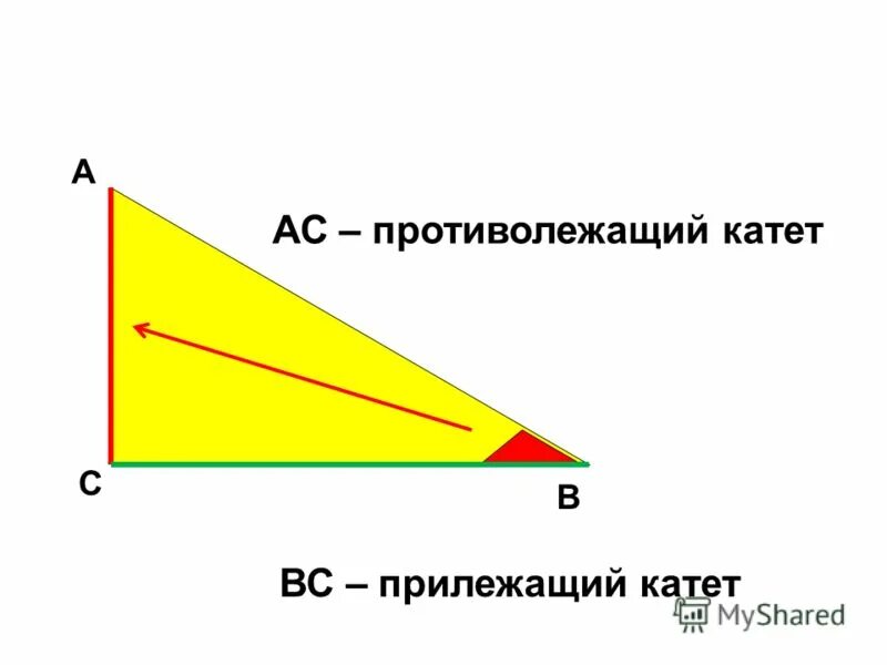 Катет прямоугольного треугольника через тангенс