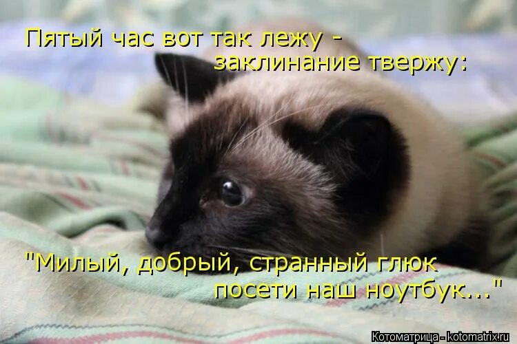 часы 5 утра. пятый час. робин шарма клуб 5 часов утра. часы 5 часов утра. постер 25-й час.