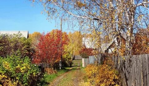 Дача поздней осенью