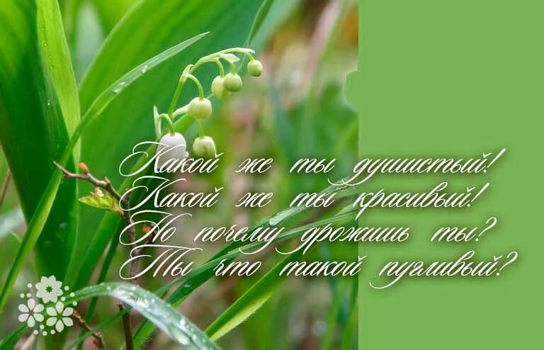 Поздравительная открытка с ландышами. Открытки с ландышами. Красивые девушки с ландышами. Я подарю я дарю вам ландыши. Букет ландышей для тебя.