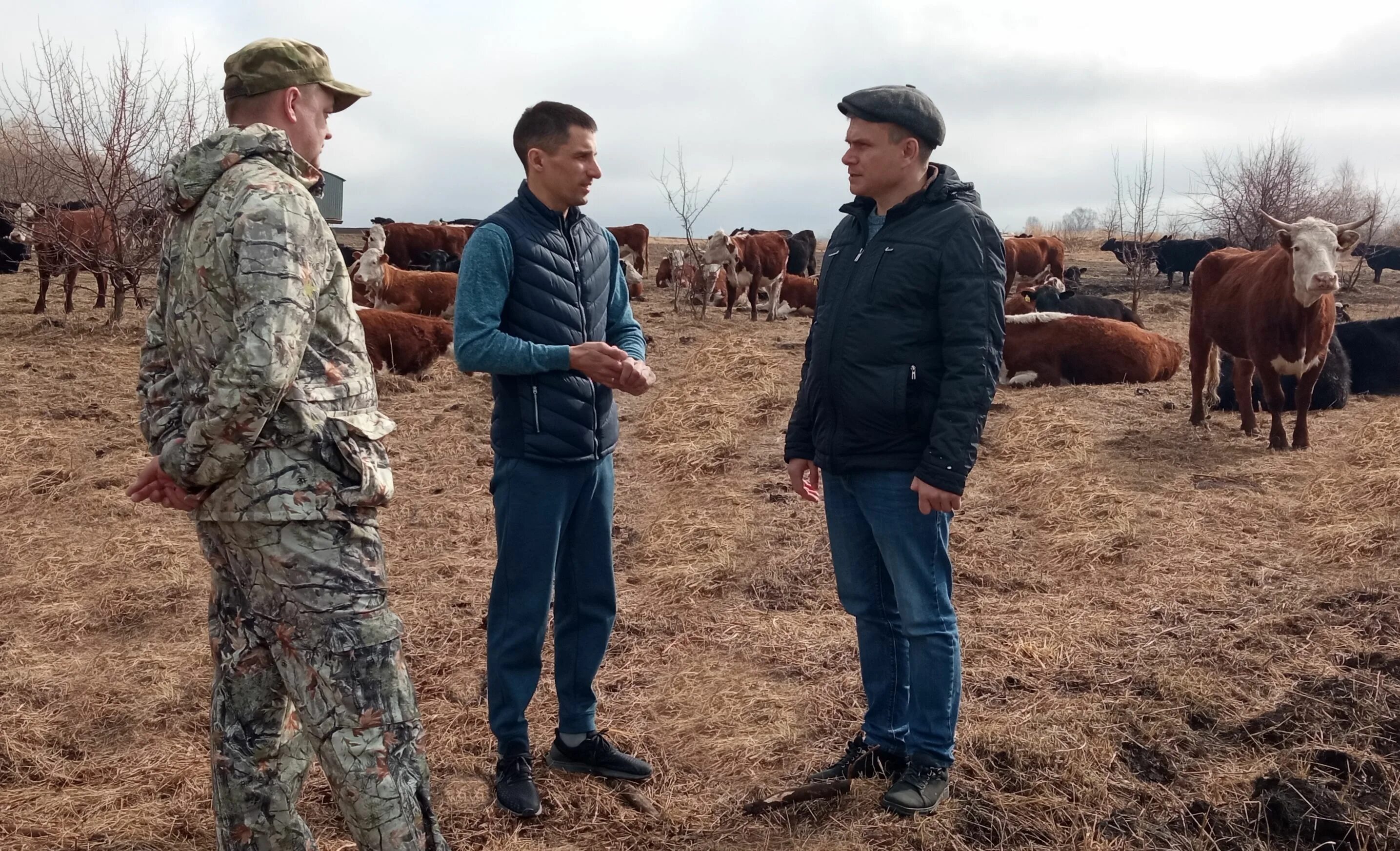 фермерство в одиночку 46 глава