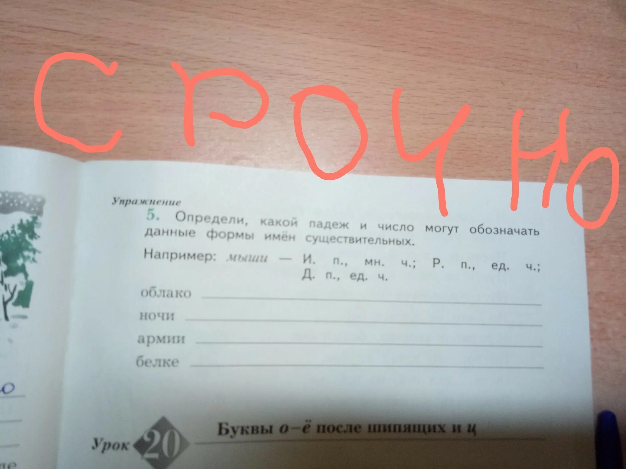 В ежовых рукавицах падеж прилагательного. Определи какой падеж и число могут обозначать данные формы. Определи какой. Облако форма имени существительных.