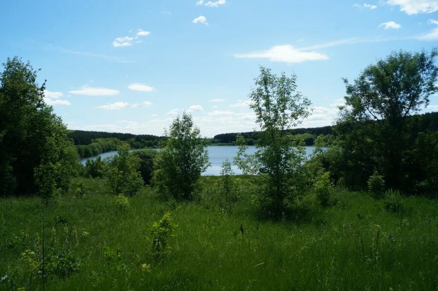 озеро аушкуль башкирия. озеро ильинское зеленодольский район. исаак левитан. озеро новоандреевка миасс. картина левитана лесное озеро.