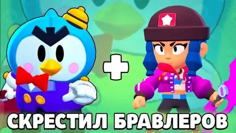 Тир бравлеров