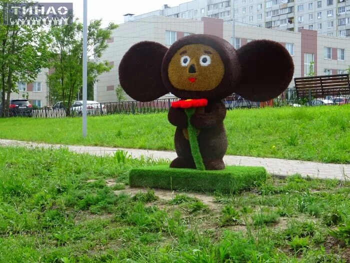 Город чебурашки