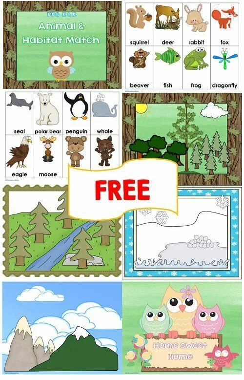 We should animals habitats. Animal Habitats. Animals and their Habitats. Animal Habitat for Kids. Habitat игра.