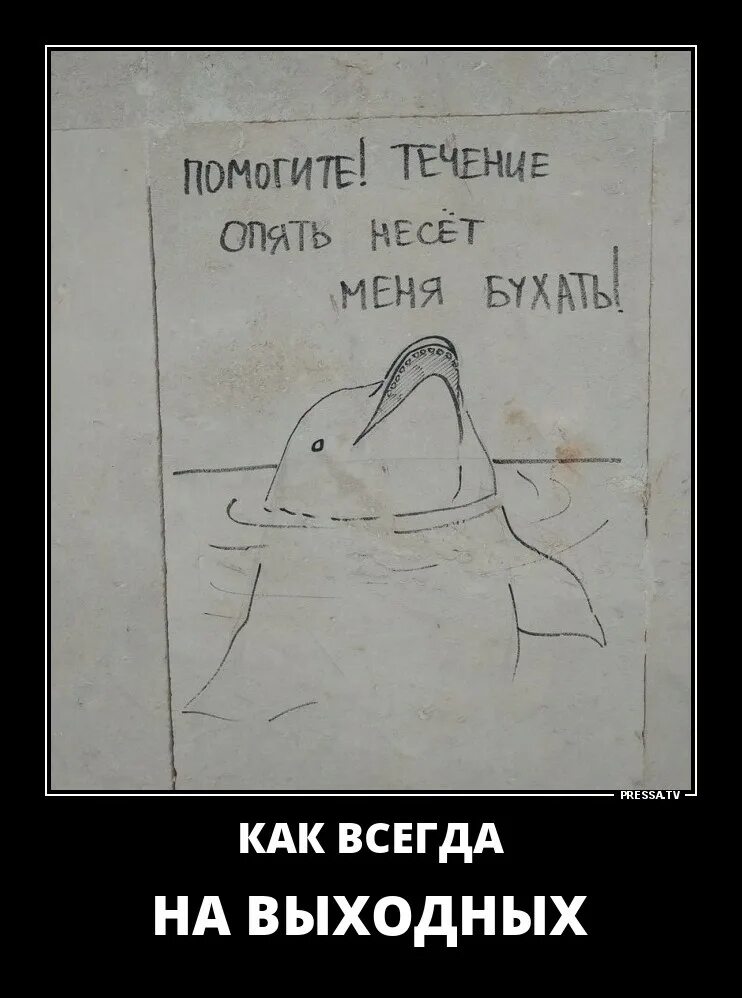 Помогите течение несет меня бухать. Помогите течение уносит меня. Течение несет меня бухать. Помогите течение несет меня. Долфин дельфин.