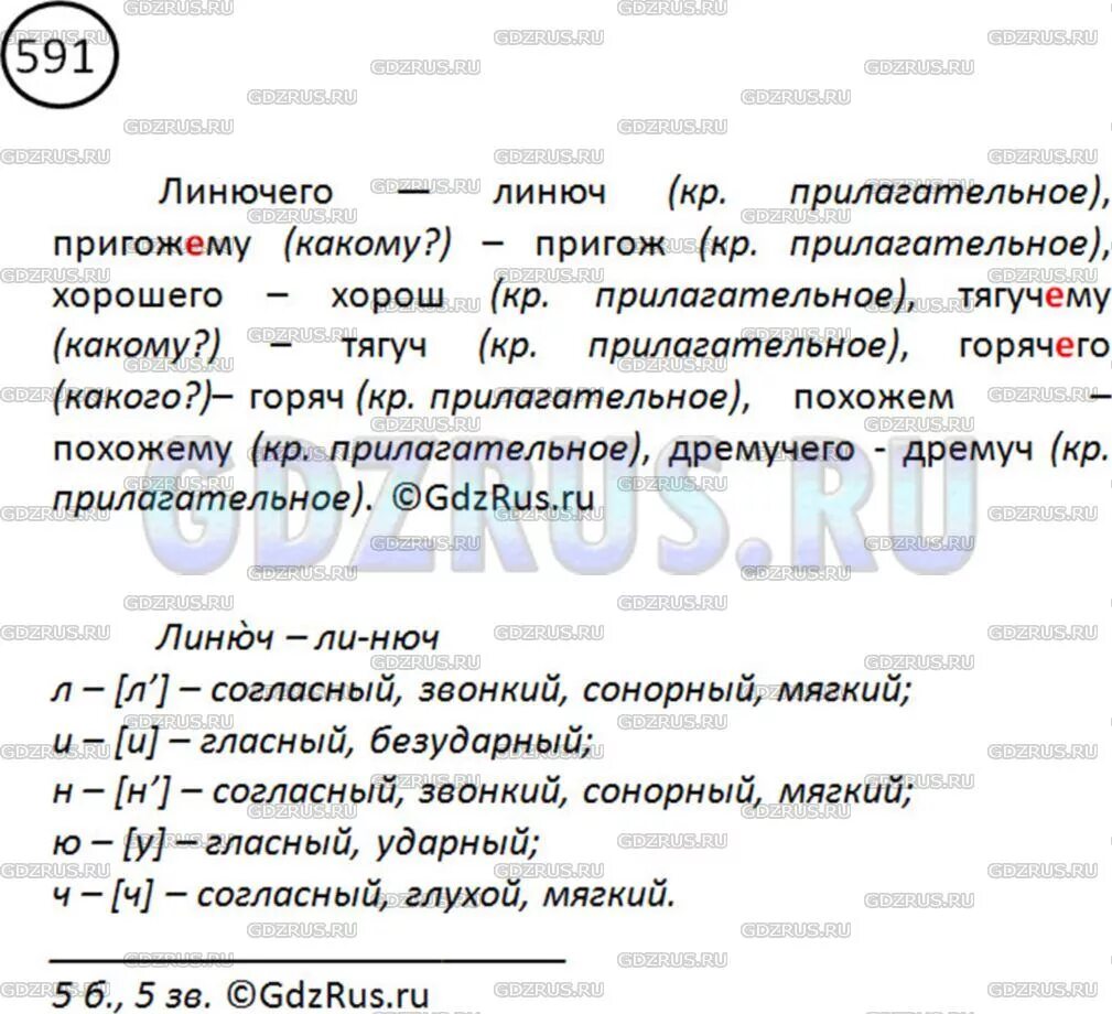 Пригожему краткая форма. Упр 591. Русский язык 5 класс номер 591. Упражнение 591 по русскому языку 5 класс. 591 Русский язык 6 класс.