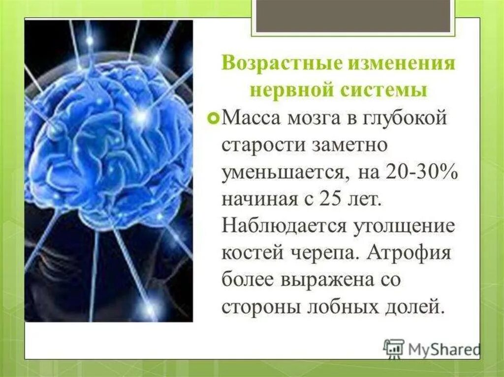 Вызвать изменения мозгу изменения. Возрастные изменения мозга в старческом возрасте. Изменения нервной системы в пожилом и старческом возрасте. Возрастные изменения нервной системы. Особенности нервной системы у пожилых людей.