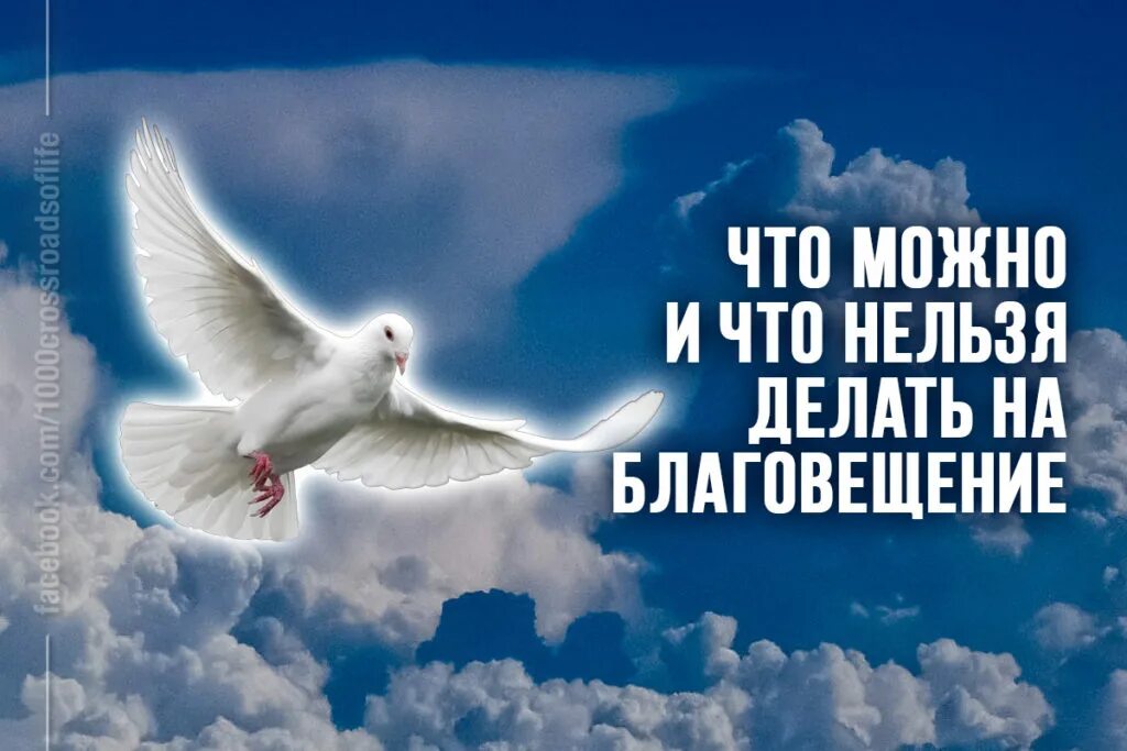 Благовещение пересаживать. Что можно делать в благовещение а что нельзя. что нельзя делать в благовещенье. с благовещением. что можно делать на благовещение.