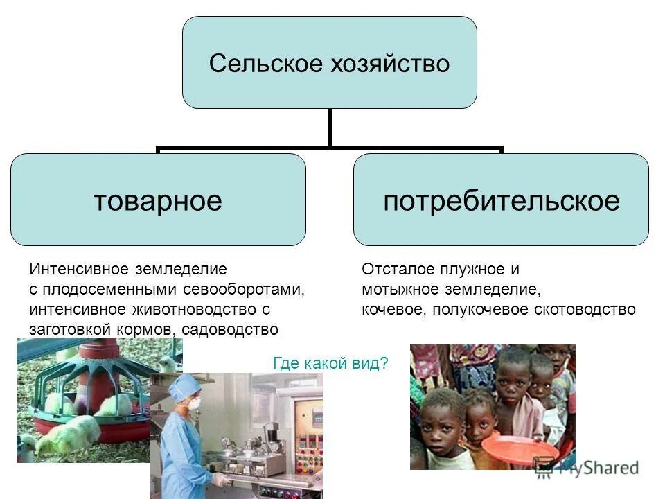 Сельский потребительский