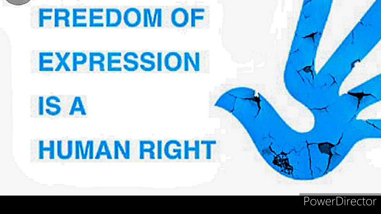 Freedom of expression. Right to Freedom of expression. Freedom of opinion and expression. Freedom of expression Project. Right freedom