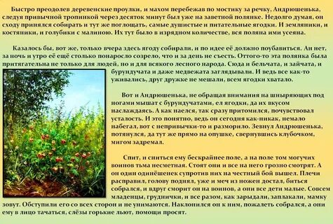 Лесная поляна текст