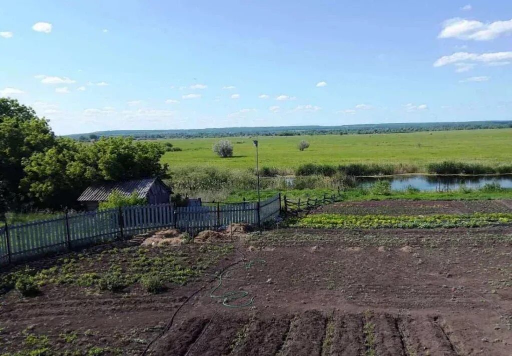 Село Кривое озеро Самарская область. Село Кривое озеро Самара. Кривое озеро Красноярский район Самарской области. Кривое озеро хорошенькое. Озеро кривое самарская