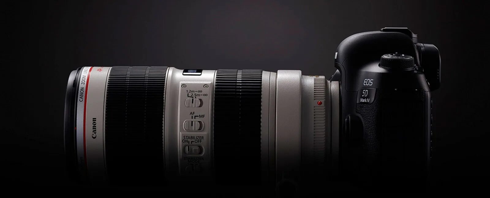 Canon mark 5. Marc 4. Marc 4. Marc 4. Canon 5d mark iv.