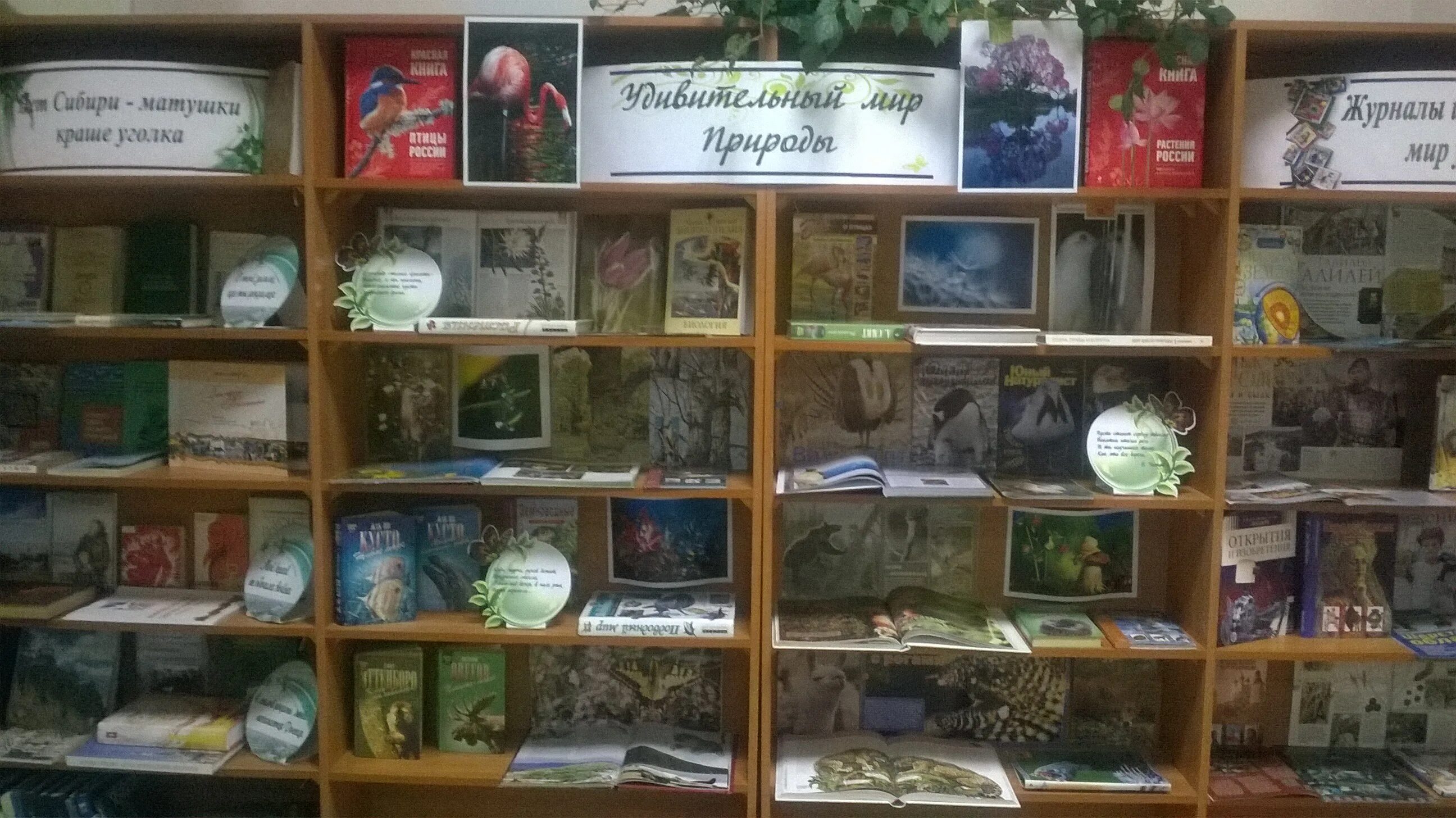 кн выст. кн выст. заглавие к выставки по творчеству. книжная выставка по природе в библиотеке. кн выст.