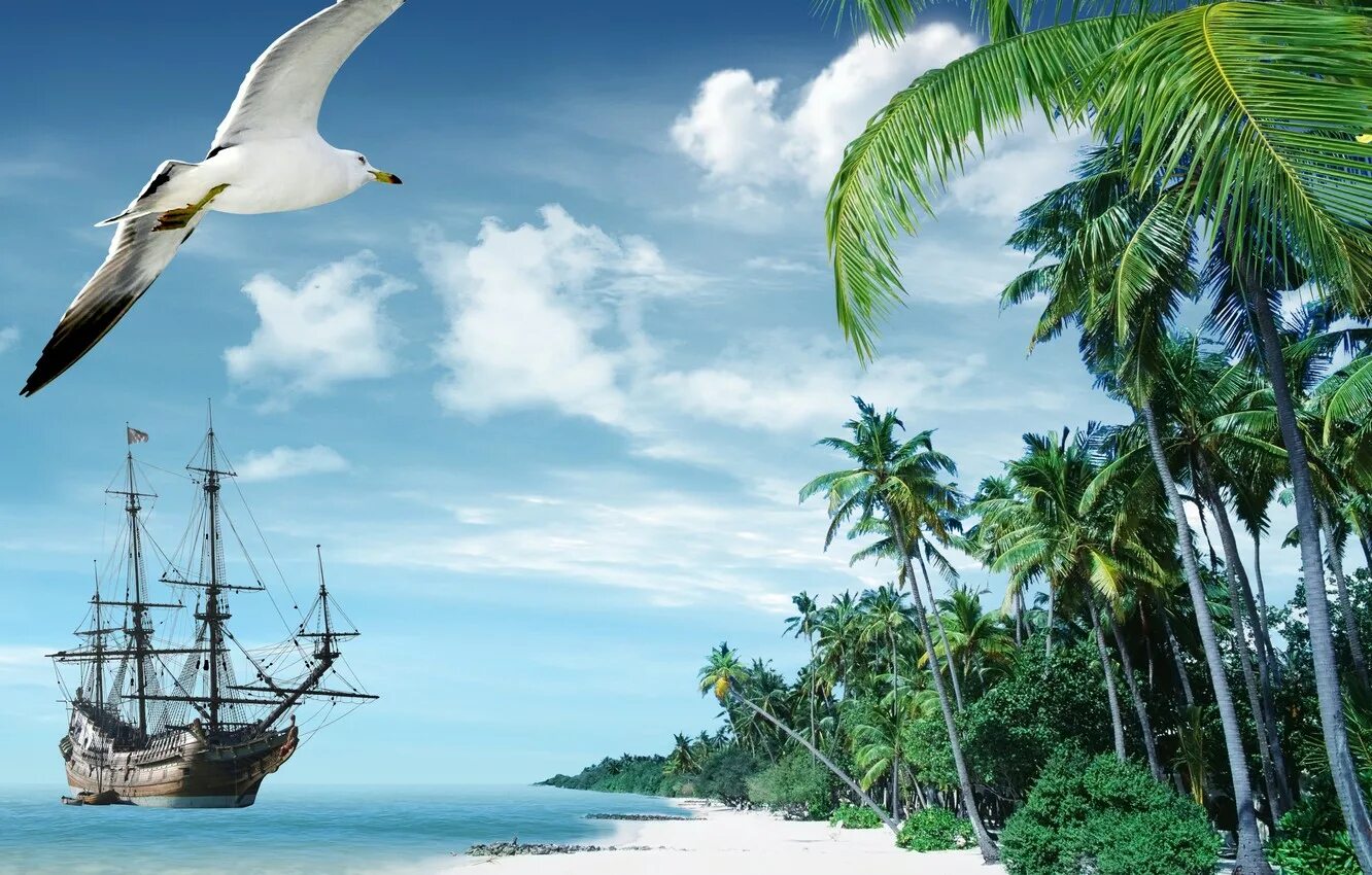 Карибское море Доминикана. Парусник в море. Красивые морские пейзажи. Морской пейзаж с пальмами