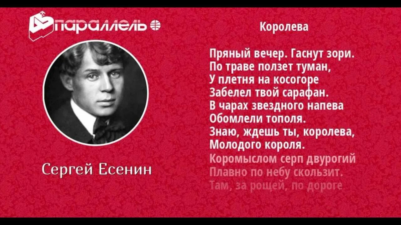 Стих есенина гитара. Стих Есенина Королева. Есенин Королева стих. Стихи Есенина.