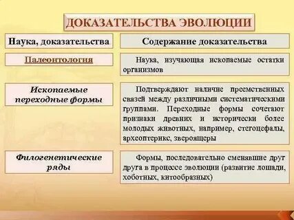 Примеры эволюционной теории