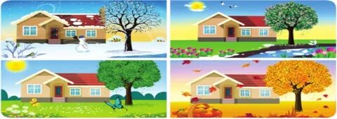 Жетілген шешен әйелімен жыныстық қатынас