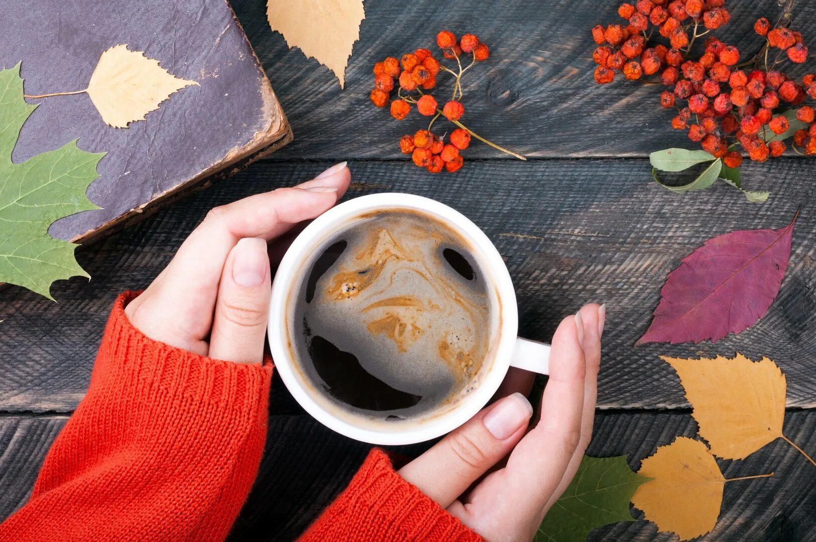 Осенний кофе. Осень кофе. Чашка кофе осень. Утро кофе осень.