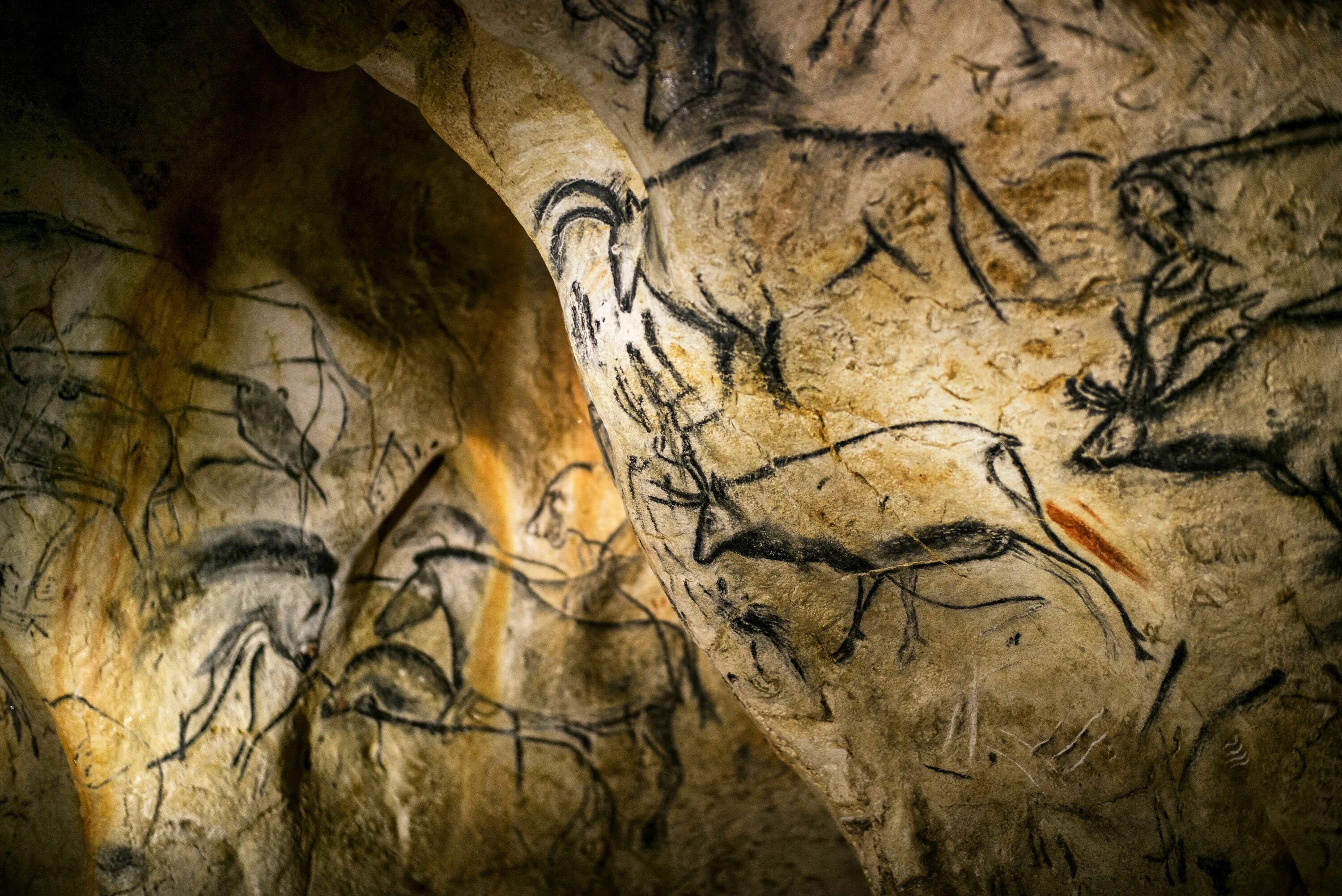 Украсить пещеру. Пещера Шове-Пон д'АРК. Пещера Шове Наскальная живопись. Пещера Ориньяк Франция.