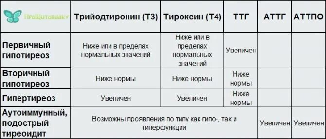 Как подготовиться к сдаче ттг т4