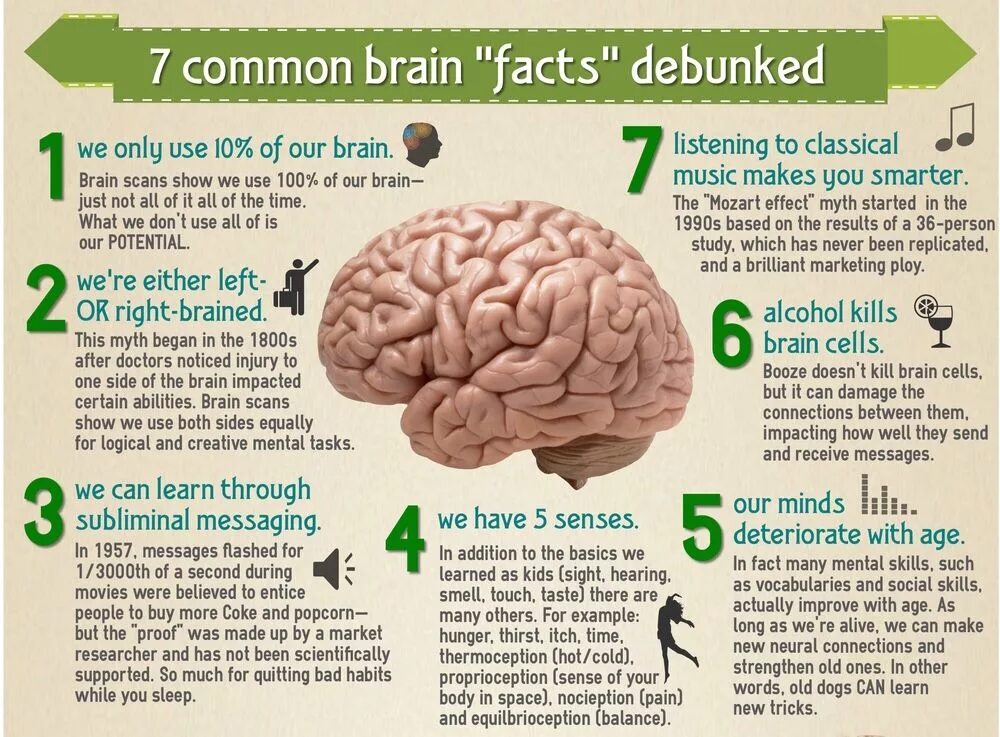 Such issue as. Interesting facts about Human Brain. Мозг use it. Information about Brain.