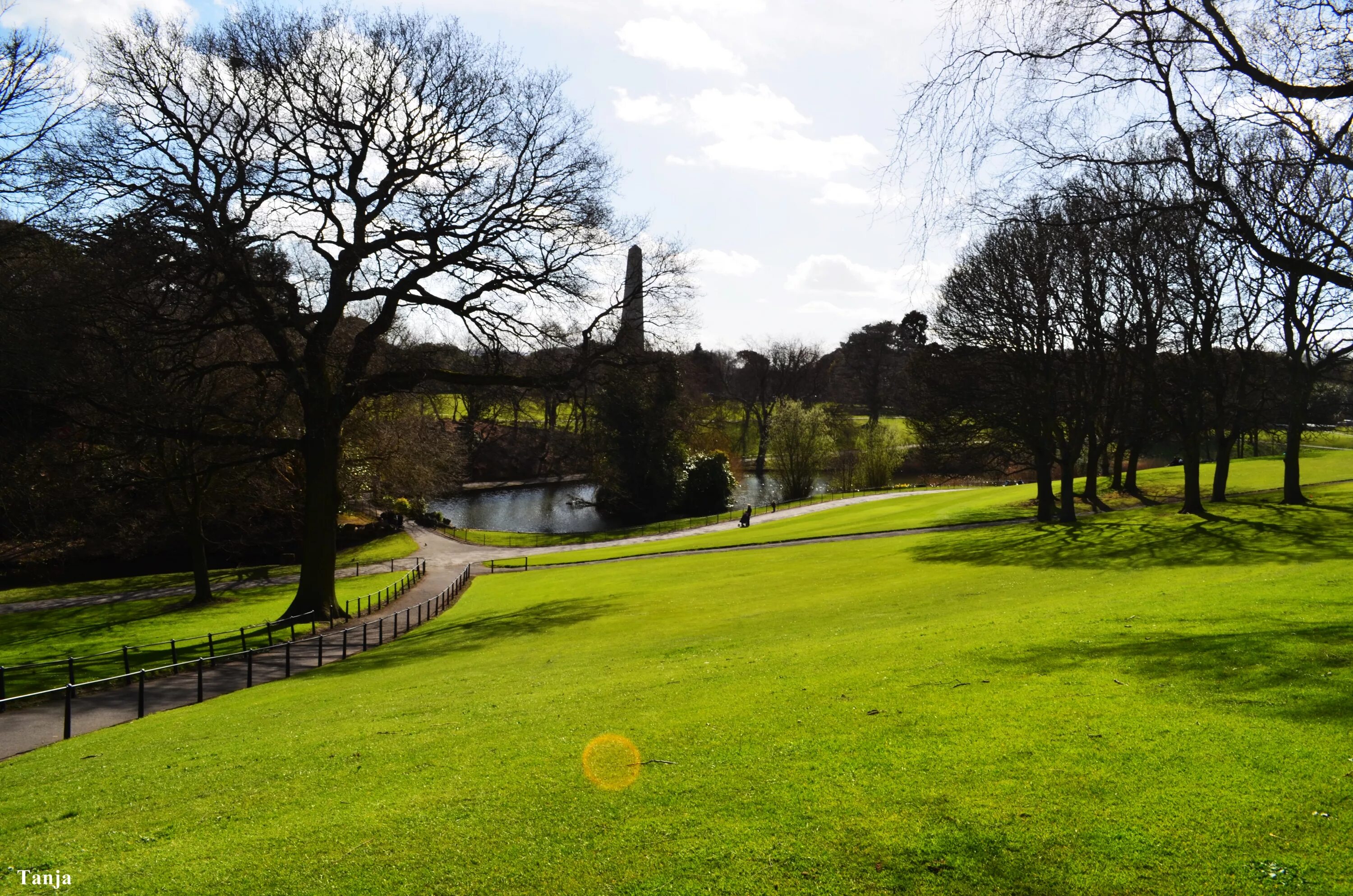 Феникс парк. Феникс парк Ирландия. Дублин парк. Phoenix Park в Дублине. Фэрвью парк Дублин.