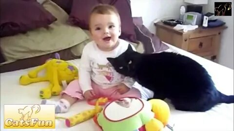 Видео смешных котиков для детей
