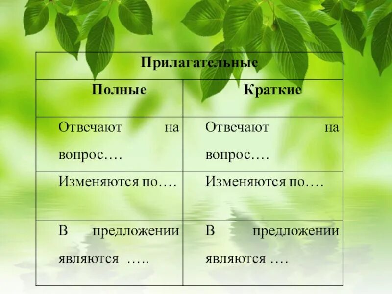 Полные и краткие прилагательные 5 класс. Краткие прилагательные 5 класс. Полные и краткие прилагательные таблица. Что такое краткая форма прилагательного 5 класс.