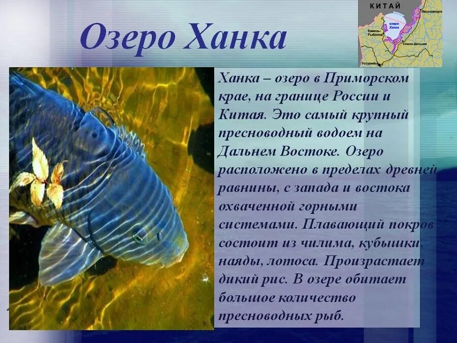 Список водных объектов приморского края фото - PwCalc.ru