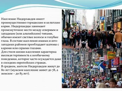 Плотность населения нидерландов