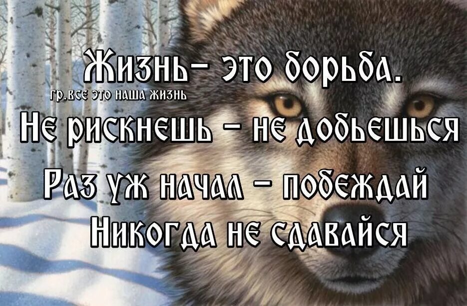 Как жили борясь и смерти не боясь. Жизнь борьба. Борьба за жизнь цитаты. Наша жизнь борьба. Жизнь это борьба цитаты.