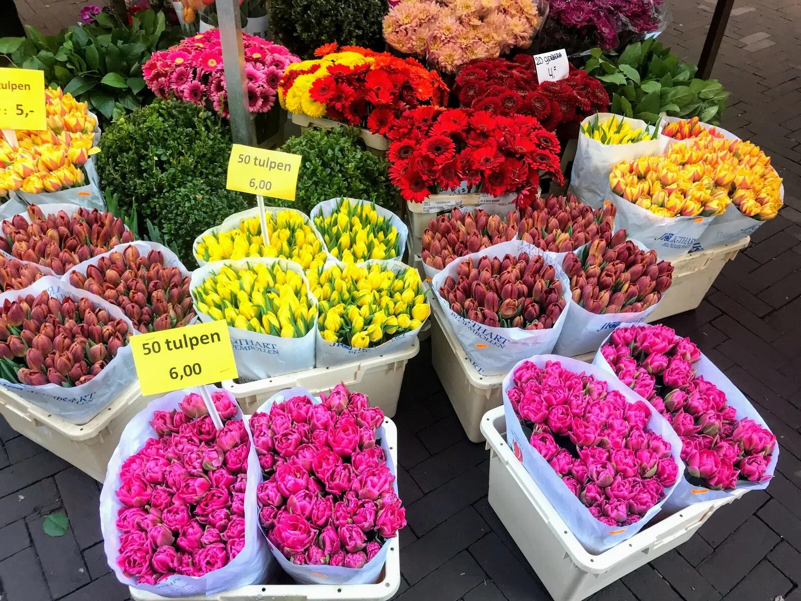 Где в новосибирске можно купить недорогой. Рижский рынок кустовые розы. Рижский рынок тюльпаны. Оптовый рынок цветов. Рижский рынок цветы.