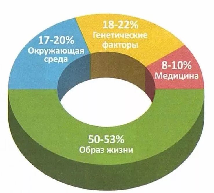 Качество жизни человека зависит от многих. Здоровый образ жизни таблица. Диаграмма здоровья. Диаграмма составляющих здоровья. Диаграмма ЗОЖ.