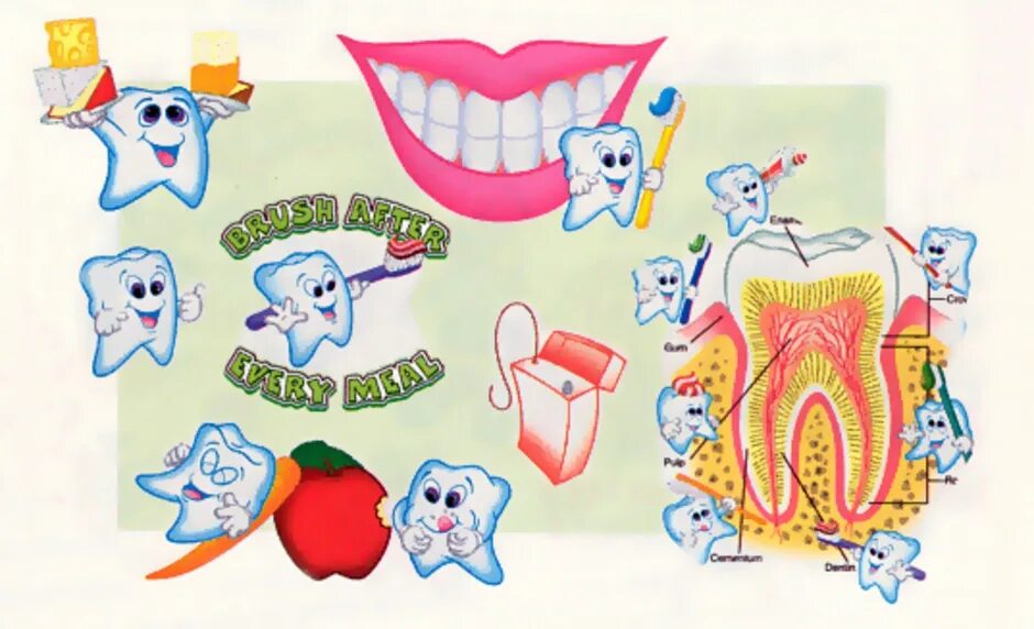 Зубы и т д. Рисунок зубов. Плакат Здоровые зубы. Здоровье зубов для детей. Рисование на тему зубы.