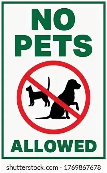 Pets are not allowed. Pets are not allowed