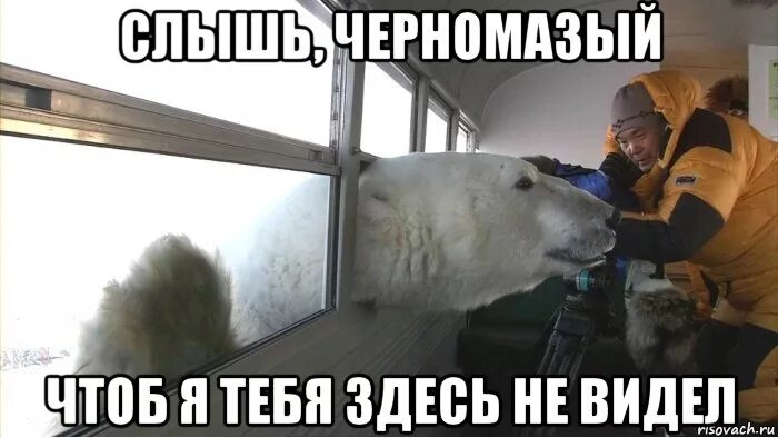 Скачай мне чтоб я видел. Скачай мне чтоб я видел