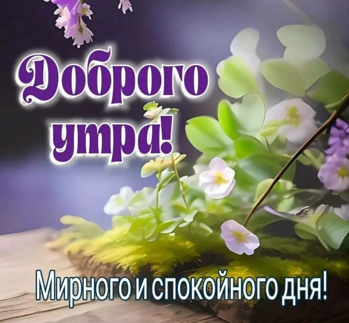 Кафе "У пани Сони"
