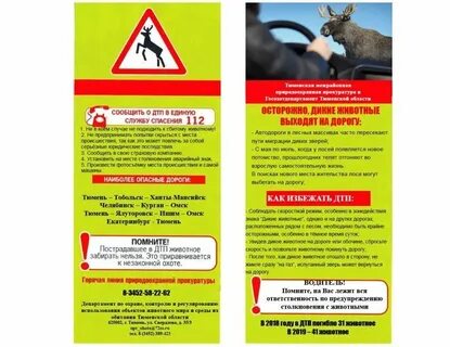 Warning что делать