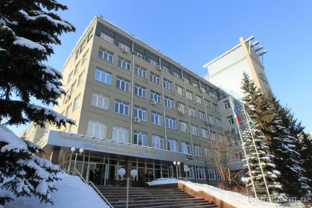 Департамент земельных и имущественных отношений воронеж. Департамент земельных отношений воронежской области. Департамент имущественных и земельных отношений воронежской области. Минземимущества республики башкортостан. Департамент земельных и имущественных.