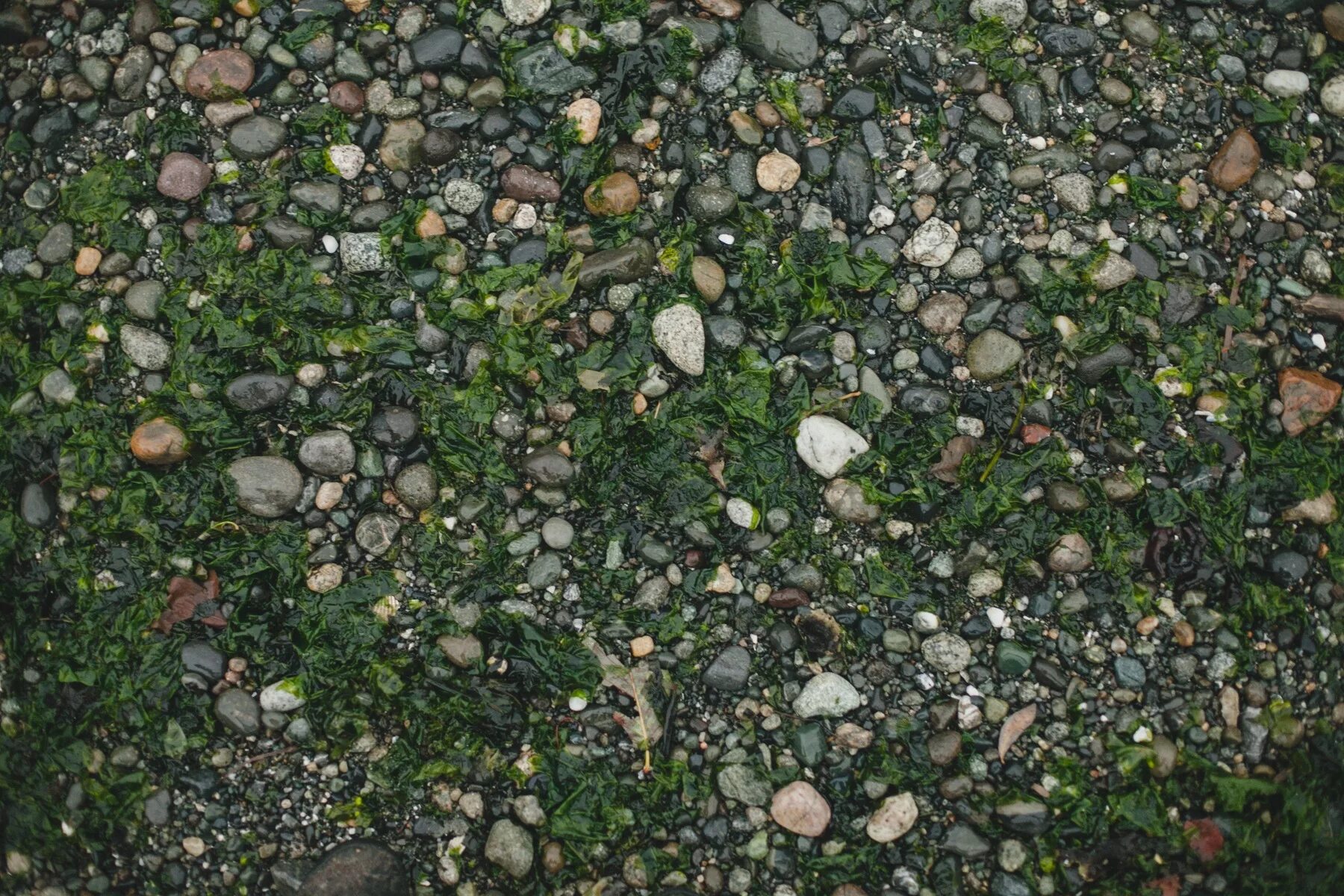Earth stone