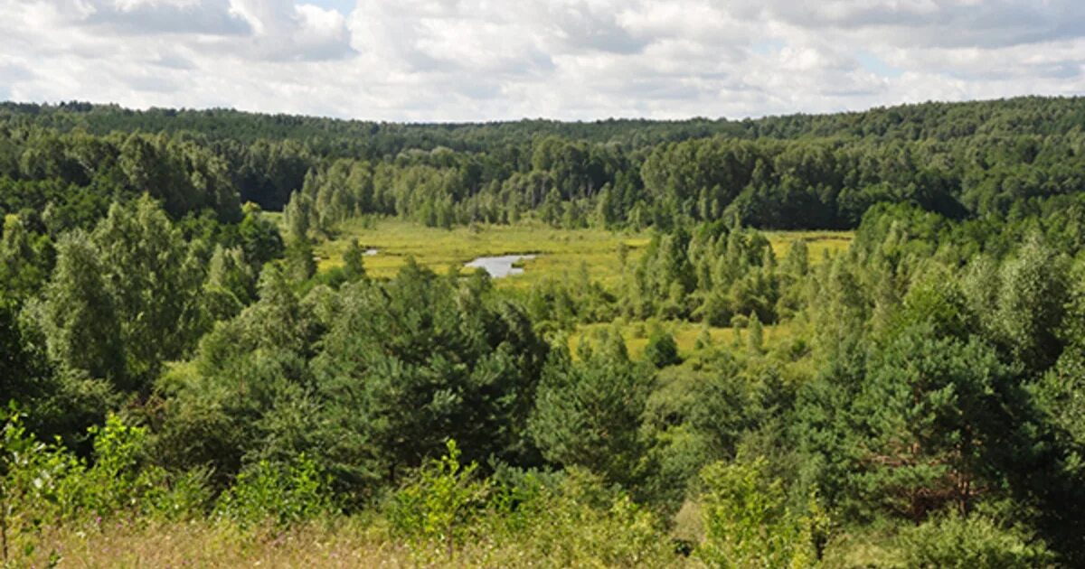 Минприроды калининградской. Виштынецкая возвышенность Калининградская. Виштынецкой возвышенности Калининград. Калининградская область холмы Виштынецкая возвышенность. Возвышенности Калининградской области.